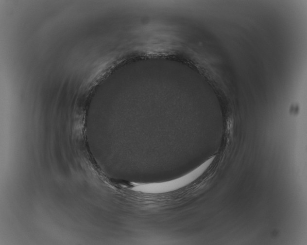 X0000111521300200907281329