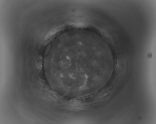 X0000111521301200907281329