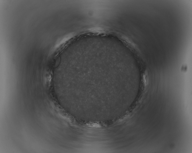 X0000111521302200907281329