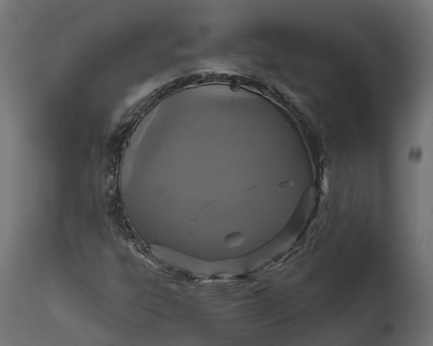X0000111521303200907281329