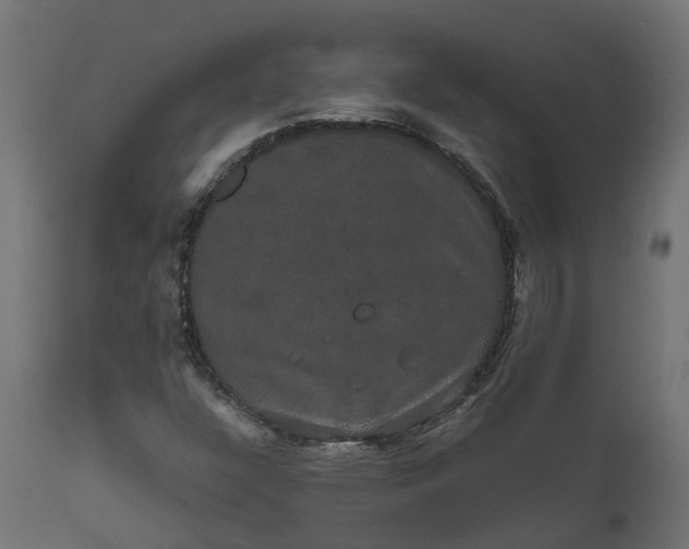 X0000111521304200907281329