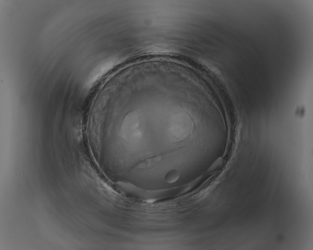 X0000111521306200907281329
