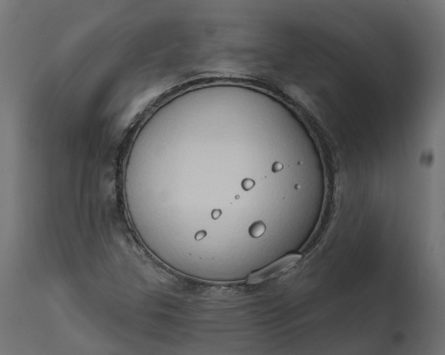X0000111521307200907281329