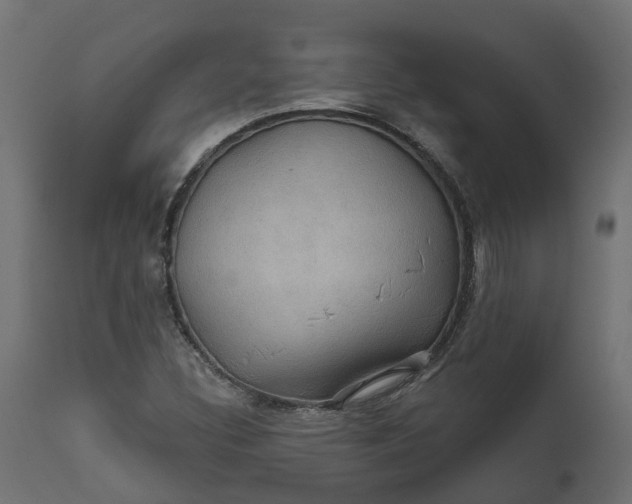 X0000111521308200907281329