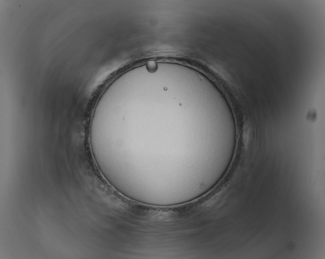 X0000111521309200907281329