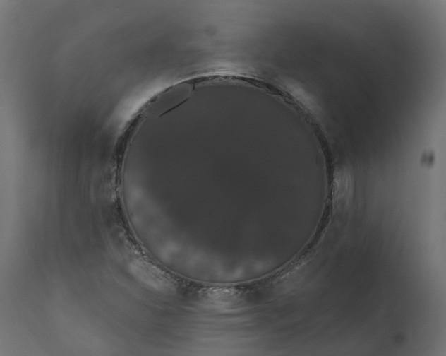 X0000111521310200907281329
