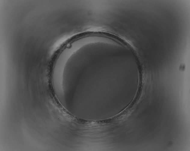 X0000111521311200907281329