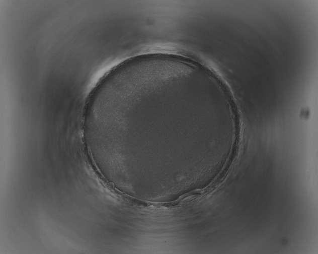 X0000111521312200907281329