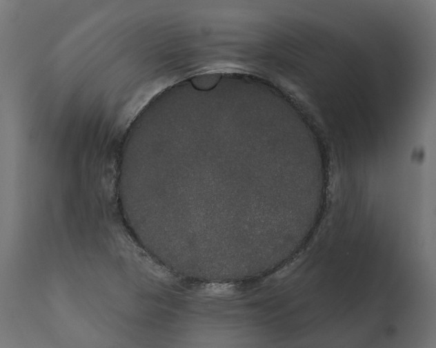 X0000111521313200907281329