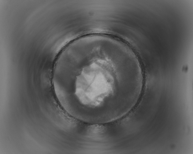 X0000111521314200907281329