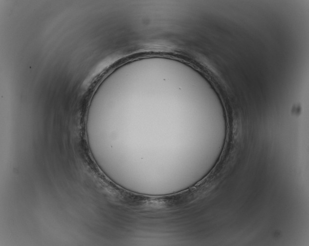 X0000111521315200907281329