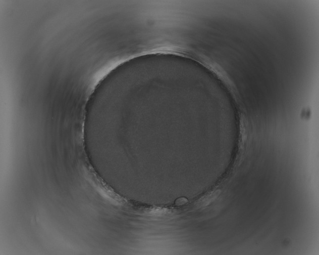 X0000111521316200907281329