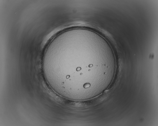 X0000111521318200907281329