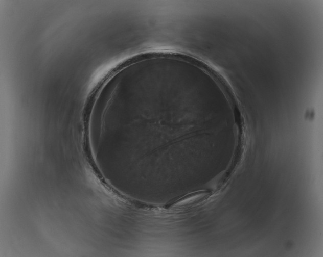 X0000111521319200907281329