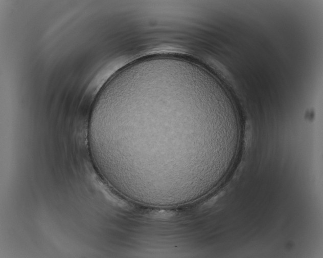 X0000111521321200907281329