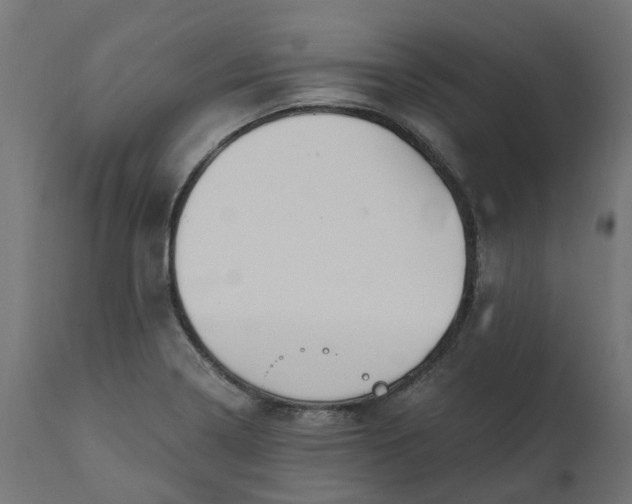 X0000111521322200907281329