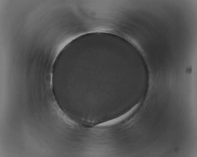 X0000111521324200907281329