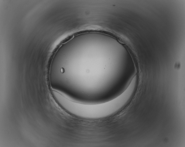 X0000111521326200907281329
