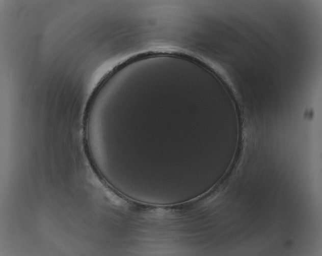 X0000111521327200907281329