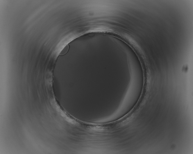 X0000111521329200907281329
