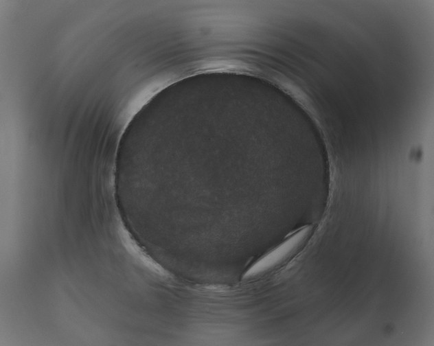 X0000111521330200907281329