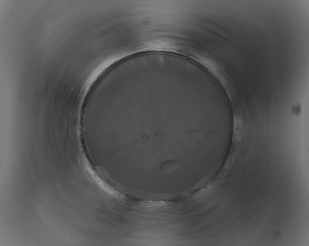 X0000111521331200907281329