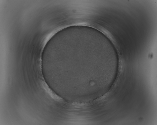 X0000111521332200907281329