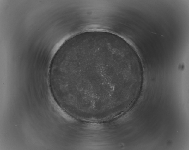 X0000111521333200907281329