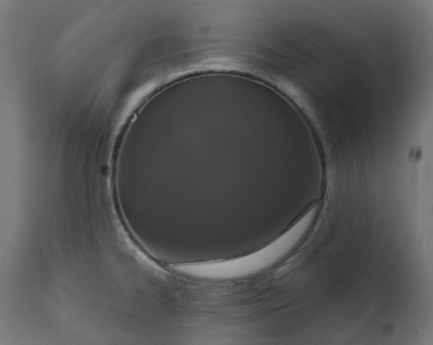 X0000111521334200907281329