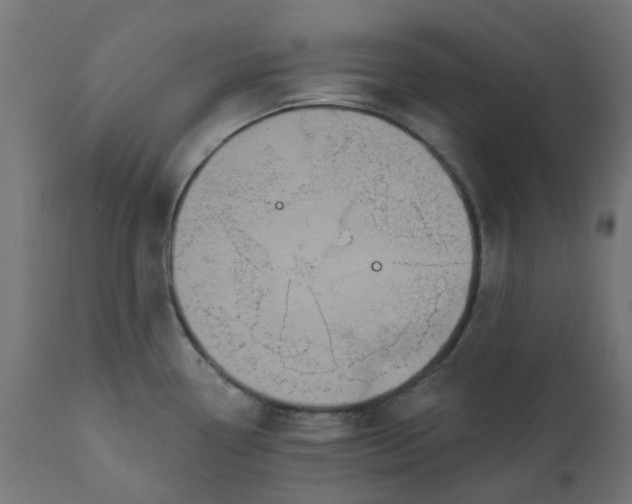 X0000111521338200907281329