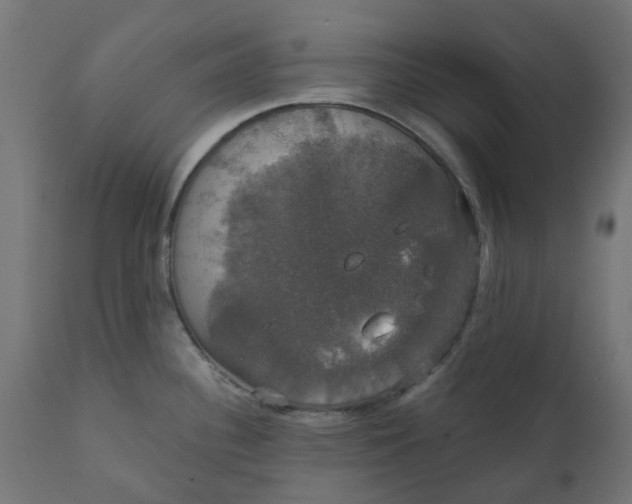 X0000111521340200907281329