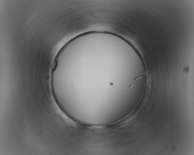 X0000111521343200907281329