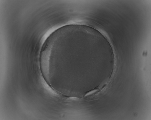 X0000111521344200907281329