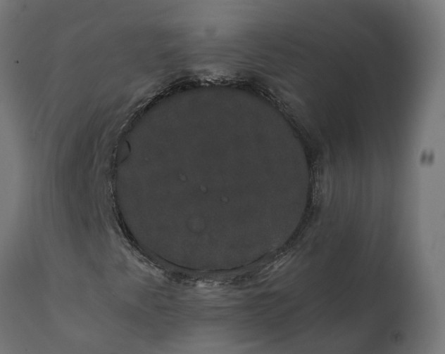 X0000111521345200907281329
