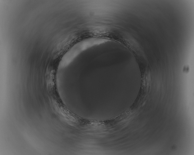X0000111521346200907281329