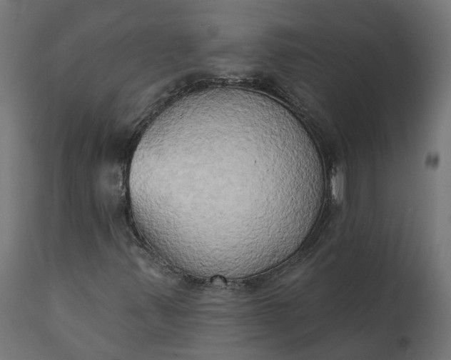 X0000111521347200907281329