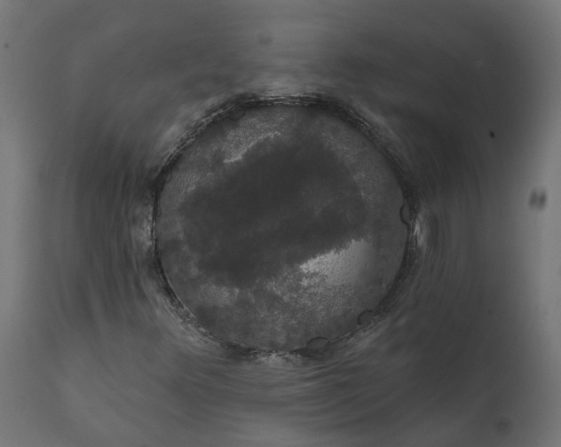 X0000111521348200907281329