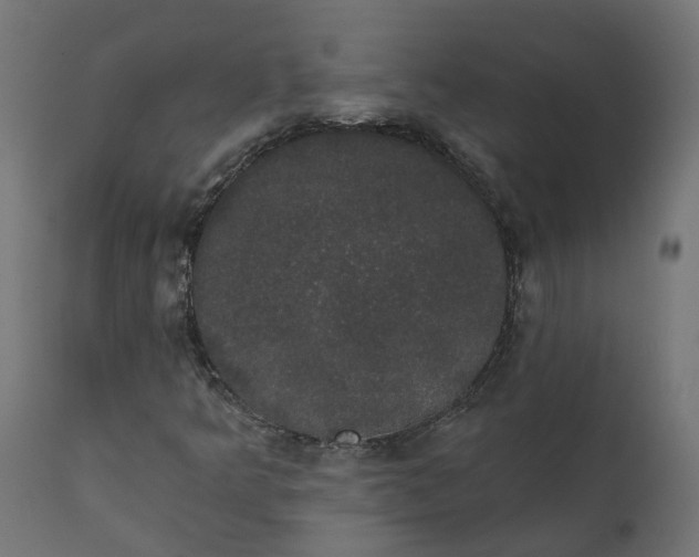X0000111521349200907281328