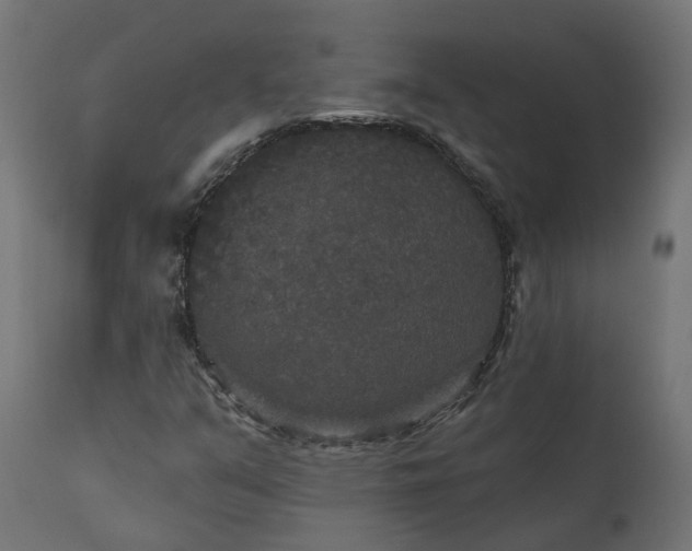 X0000111521351200907281328
