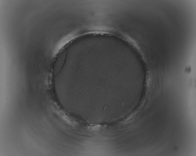 X0000111521352200907281328