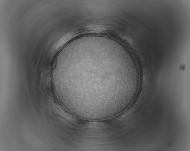 X0000111521354200907281328