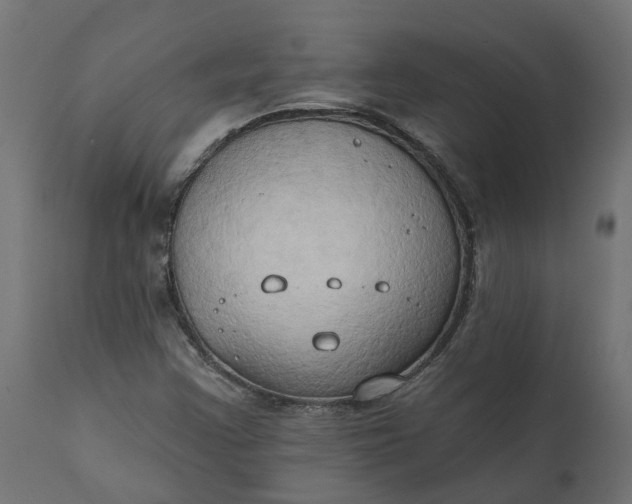 X0000111521355200907281328