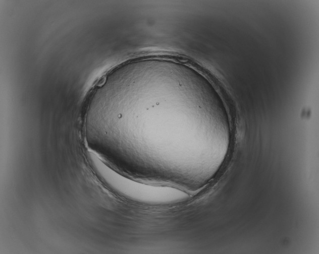 X0000111521357200907281328
