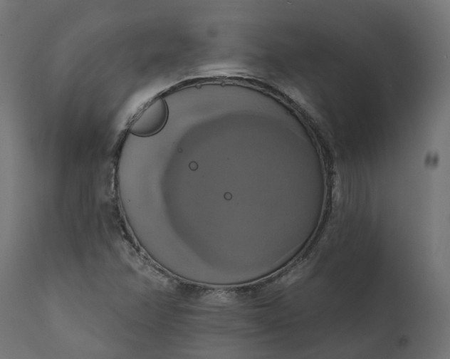 X0000111521358200907281328