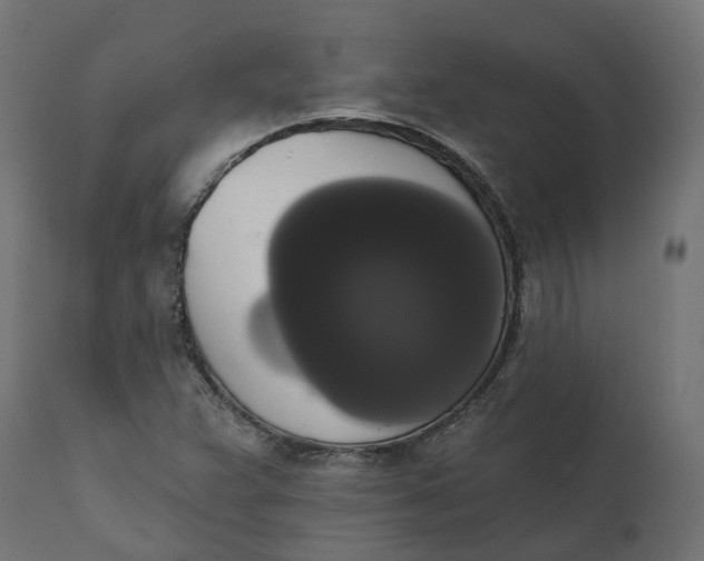X0000111521359200907281328