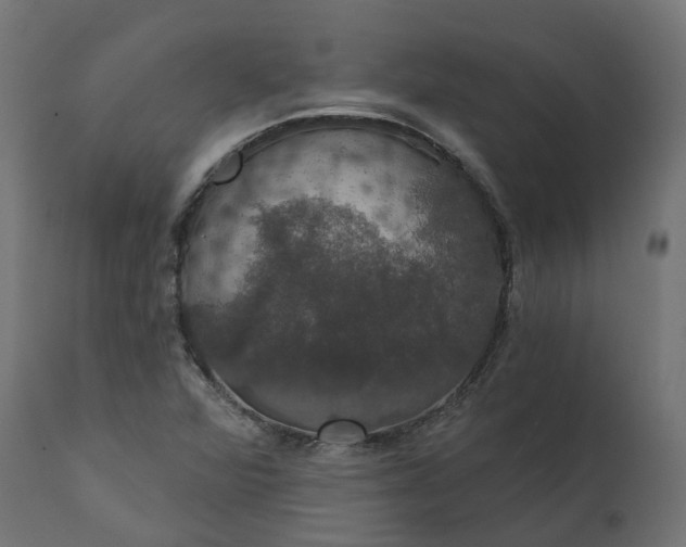 X0000111521360200907281328