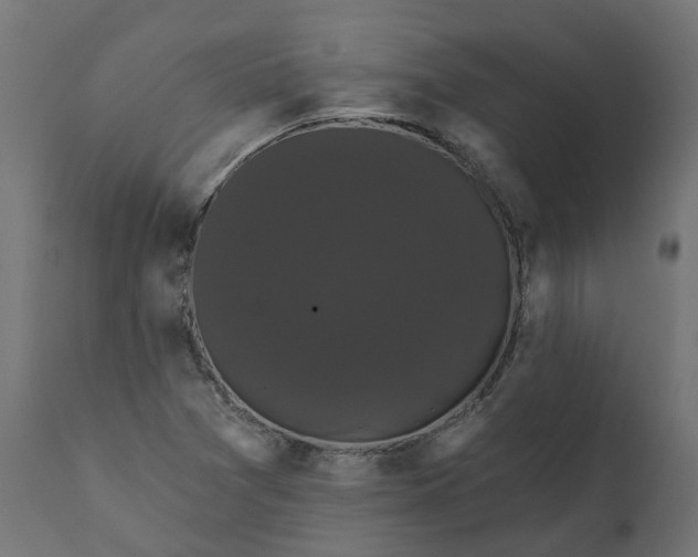 X0000111521361200907281328