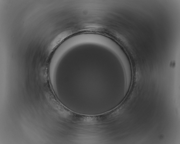 X0000111521362200907281328