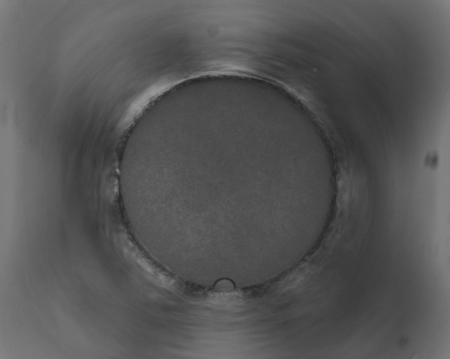 X0000111521363200907281328