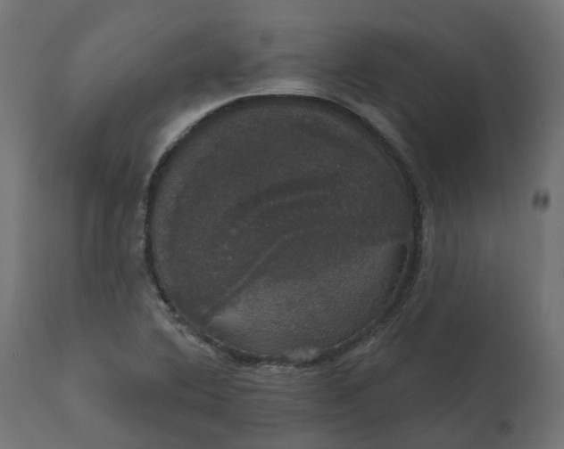 X0000111521364200907281328